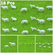 New Animals Model Sheep Sheep Animals Model Animals Model Farm Farm Animals