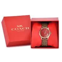 在飛比找Yahoo奇摩購物中心優惠-COACH 龍年限定款 Ruby 經典滿版LOGO時尚手錶(