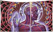 Tool Lateralus Banner Huge Fabric Poster Tapestry3X5Ft Wall Hanging Flag Album Cover Art for Fraternities Man Cave Room Decor College Parties