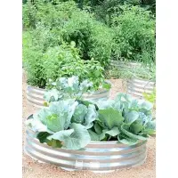在飛比找蝦皮購物優惠-栽培箱 飼養箱 種植箱一米菜園金屬種植箱框池床蔬菜種植花盆戶