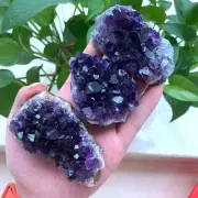 10Pcs Natural Quartz Amethyst Crystal Cluster Druzy Geode Reiki Specimens 60-80g