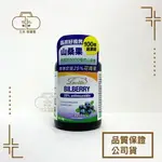 LOVITA愛維他 山桑果6000MG膠囊 (60顆)