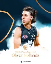 CARLTON BLUES AFL football team PLAYER POSTER, FREE POST,BARGAIN