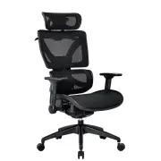 Maestro Furniture RISCHE Mesh Ergonomic Filpped Armrest Adjustable Executive Office Computer Chair - Black
