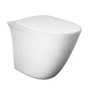 480*330*350mm Fienza RAK Sensation Rimless Alpine White Rimless Wall-Faced Toilet