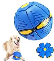 Dog toys are beneficial for promoting exercise, enhancing human dog relationships, dental health, intellectual stimulation, companionship and comfort, as well as preventing behavior (blue, toy)