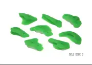 NEW Rock Climbing Holds CELL EDGE C 8pcs Made In Japan
