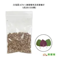 在飛比找蝦皮購物優惠-大包裝A74-1.韓國雙色芝麻葉種子5克(約1350顆) 韓