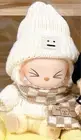 Labubu And Clothes Set Japan Ship