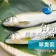 【金海昌水產】台灣宜蘭爆卵母香魚1入(225公克±10%/隻)
