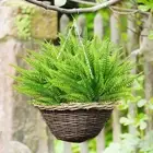Handmade Artificial Boston Fern Greenery Fake Plants Office Desktop Decoration