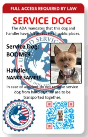 Service dog with custom QR code, direct scan with phone to registration web page