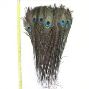 High Quality Peacock Feather Tassel Clothing Sewing Decorations Tassels 10yards/