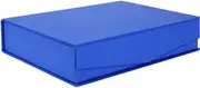 Large capacity Plastic File Box Portable File Box Desk File Organizer File Box With Lid Storage Office Box Small Storage Box Shipshape