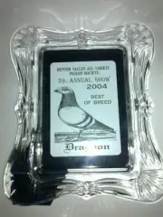 PIGEON Hunter valley 2004 all variety annual pigeon show - Best of breed DRAGOON