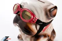 在飛比找蝦皮商城優惠-【Z-POLS 小型狗狗專用款】頂級包覆式軟墊超防風、抗紫外