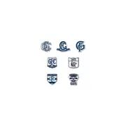 Geelong Cats AFL Pinset