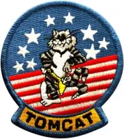 F-14 GRUMMAN TOMCAT NAVY FIGHTER PLANE EMBROIDERED IRON-ON TACTICAL PATCH...