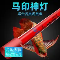 在飛比找蝦皮購物優惠-馬印神燈 三基色燈管 龍魚燈 增色 水中燈 魚缸 LED潛水