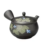 在飛比找蝦皮商城精選優惠-日本製 常滑燒 玉龍作 陶瓷茶壺(M246)