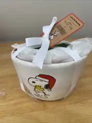 NWT Rae Dunn x Peanuts Snoopy Christmas Set of 4 Ceramic Measuring Cups