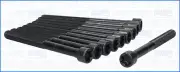 Cylinder Head Bolt Set FIAT PALIO 1.7 176B3.000 (5/2001-)
