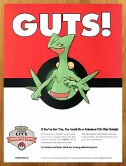 2005 Pokemon TCG City Championships Print Ad/Poster Official Treecko Cards Art