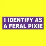 Funny "I IDENTIFY AS A FERAL PIXIE" fantasy mythical BUMPER STICKER fairy sprite