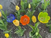 Suncatcher Tulip Set of (3) 5" x 3" Solar Neon Fluorescent Blue,Orange,Yellow