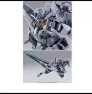 METAL BUILD Gundam Astraea II & Proto Xn Unit SET Bandai Action Figure NEW Japan