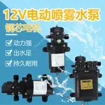 台灣出貨 電動噴霧器 水泵 高壓隔膜泵 12V電機小型 大功率 雙泵 回流泵 農用