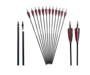 12x 31" PURE CARBON ARROWS FEATHER RECURVE BOW LONGBOW HUNTING TARGET SP500
