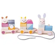 Pull Along Train - 100% FSC(R) Certified - Bigjigs Toys
