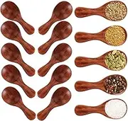 Small Wooden Salt Spoon - Buytra 20 Pack Mini Wood Spoon with Short Handle, Perfect for Small Jars of Jam, Spices, Condiments, Seasoning, Sugar, Honey, Coffee, Tea, Mustard, Ice Cream, Milk Powder