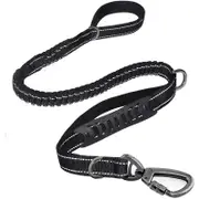 Shock Absorbing Bungee Dog Leash