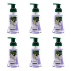 6x Palmolive 250ml Foaming Hand Wash Soap Pump Nourishing Vanilla & Wild Berries