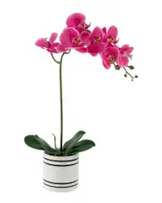 Northlight Real Touch Artificial Spring Orchids in Striped Ceramic Pot