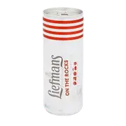 Liefman's Fruitesse Sour Ale 250ml Can