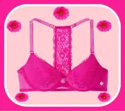 38DD Pink Posey Lace Front Close Extreme Lift Victorias Secret Plunge PU UW Bra