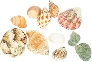 POPETPOP 1 Set Hermit Crab Shells Hermit Crab Supplies Hermit Crab House Crab Shell Ornaments Aquarium Decoration Ornament (Random Color)