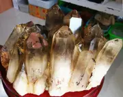 12.6LB Large Quartz Specimen Natural Smoky Yellow Crystal Cluster Point Healing