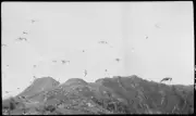 Lord Howe Island Seagulls fly about the rocky cliffs, Lord Howe Is - Old Photo 1