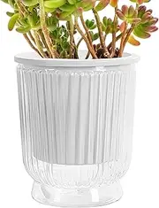 Self-Watering Pots for Indoor Plants,Transparent Container for Indoor Plants | Self-Watering Orchid Pots with Drainage Hole and Deep Reservoir for African Violets, Flowers