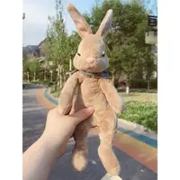 在飛比找ETMall東森購物網優惠-北歐毛絨布玩具女生公仔兒童寶寶彼得兔安撫兔子玩偶可愛生日禮物