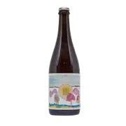 Wildflower Sensation of Colour Brachetto Grape Australian Wild Ale 750ml Bottle