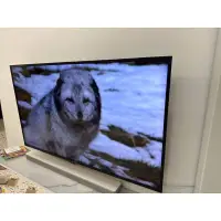在飛比找蝦皮購物優惠-二手【SONY 索尼】55型4K HDR智慧聯網液晶電視(K
