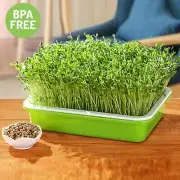 Seed Sprouter Bean Sprouting Seeds Tray BPA Free Sprout Grower._