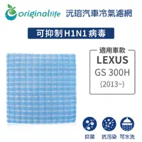 在飛比找PChome24h購物優惠-【綠能環控清淨網】車用冷氣空氣淨化濾網 適用LEXUS:GS