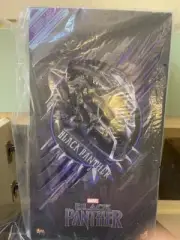 Hot Toys MMS 470 黑豹 T'Challa Chadwick Boseman 1/6