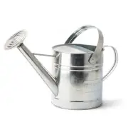 Holman 9L Watering Can Galvanised Metal Durable Robust Planting Gardening Tool
